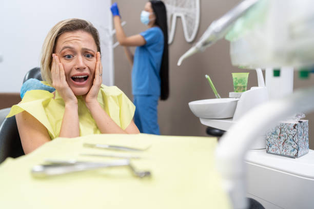 Best Broken or Chipped Tooth Repair in Bardmoor, FL